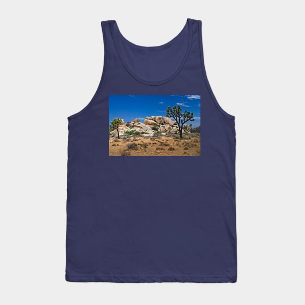 Formations  Joshus Tree Tank Top by andykazie